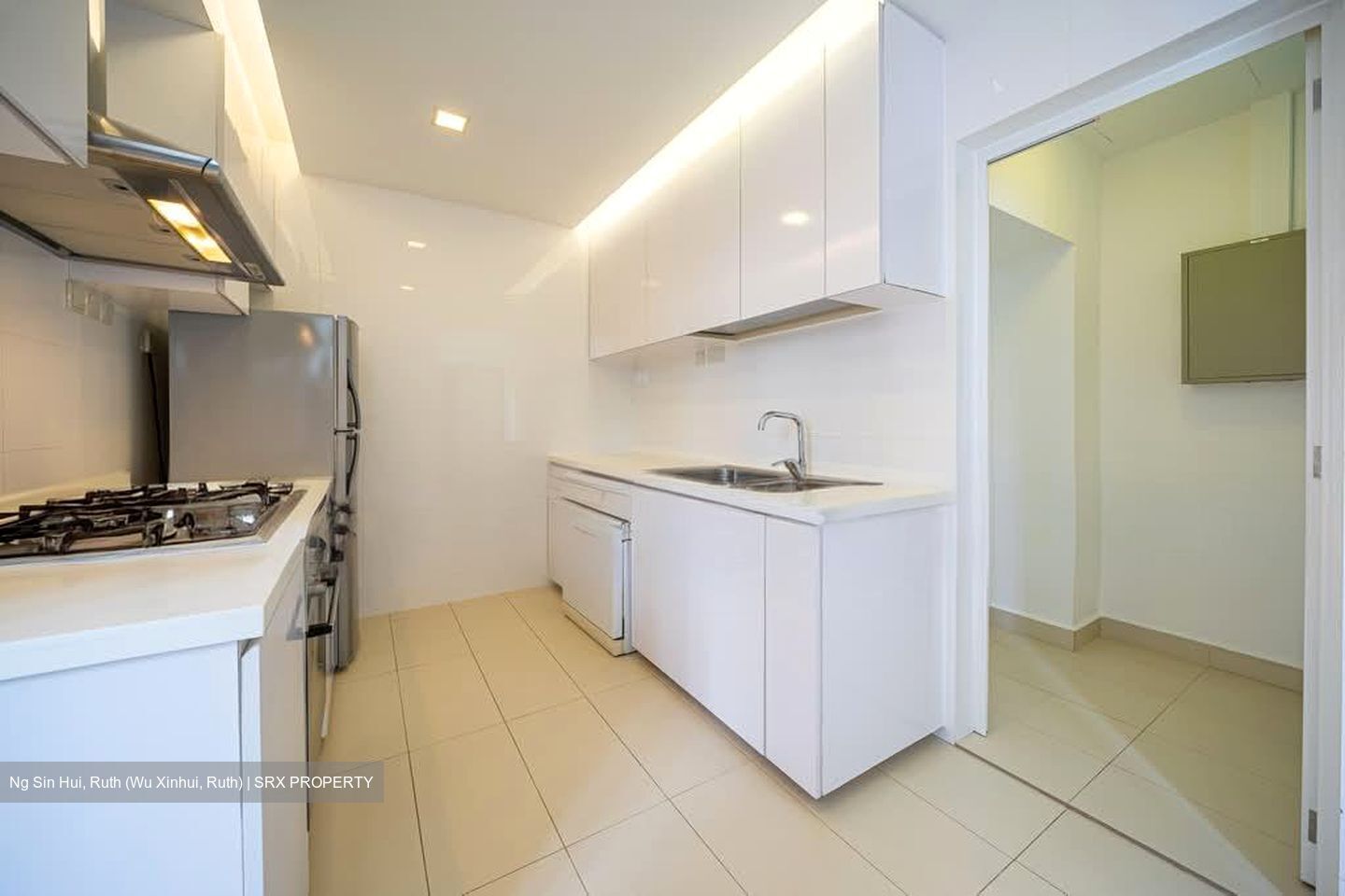 Nassim Regency (D10), Condominium #592289401